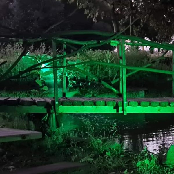 FB_IMG_1624002400680